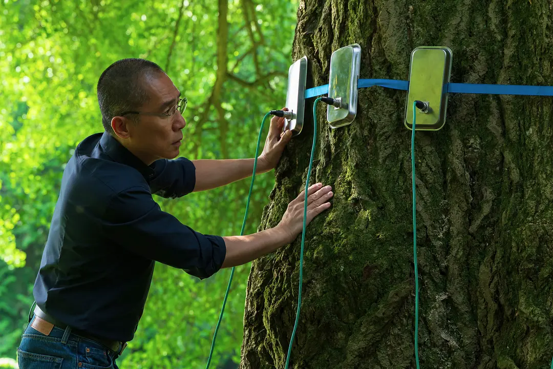 梁朝伟宣布加盟好莱坞新片剧照_5